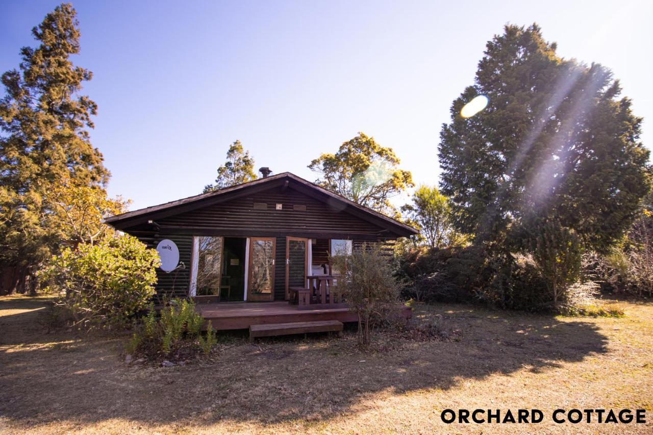 Jaya'S Place Hogsback Bagian luar foto