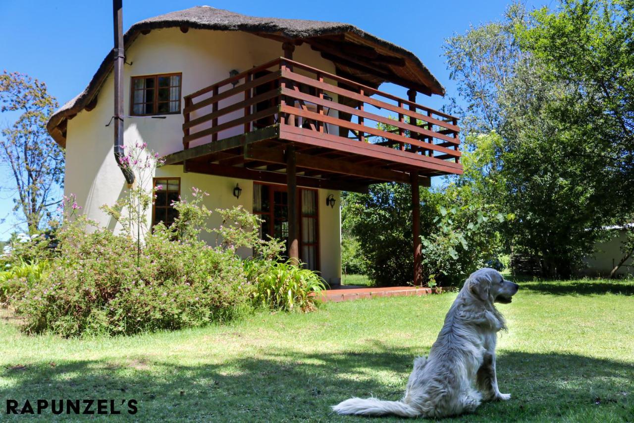 Jaya'S Place Hogsback Bagian luar foto